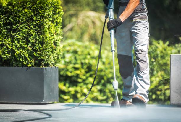 Best Solar Panel Cleaning  in Newton, NC