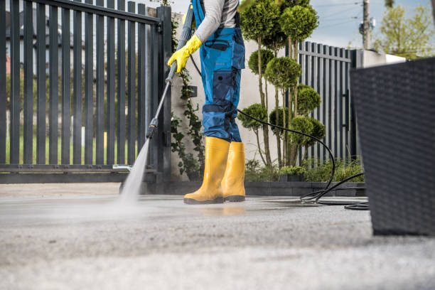 Best Driveway Pressure Washing  in Newton, NC